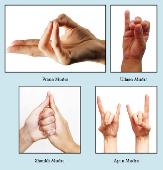 MUDRAS 2022